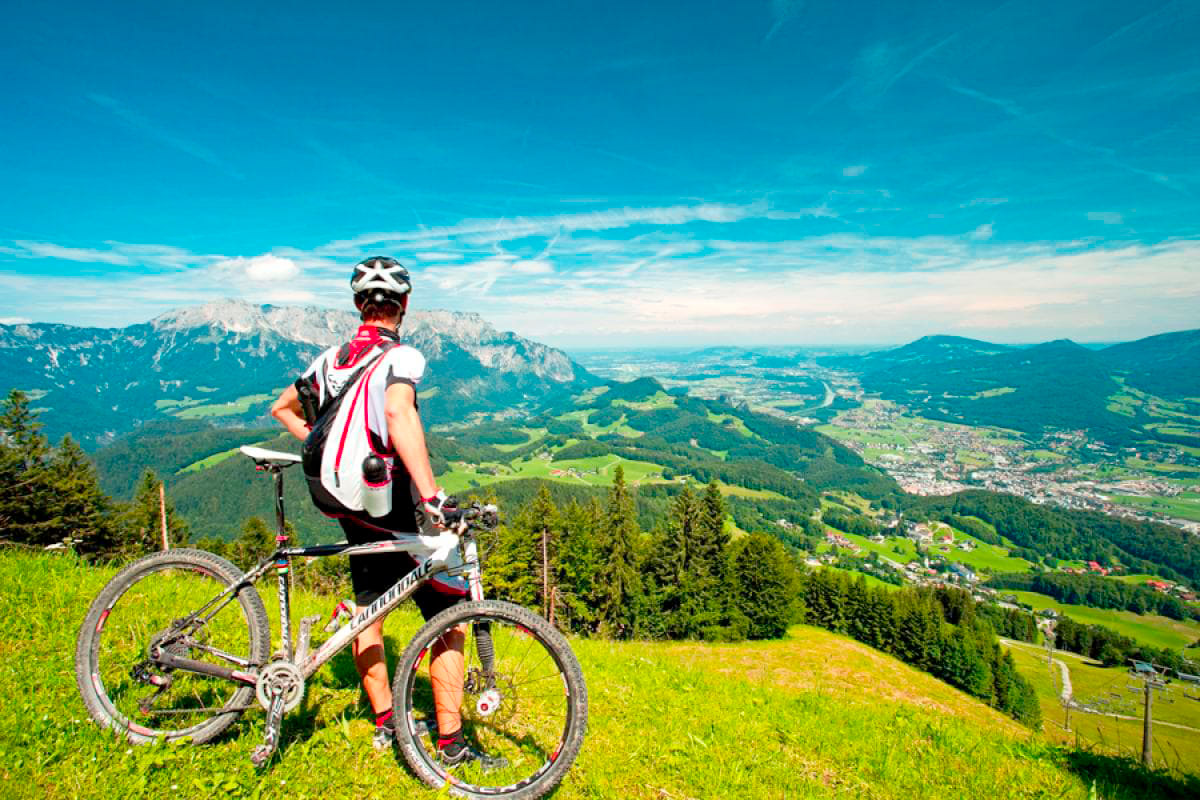 panorama hallein